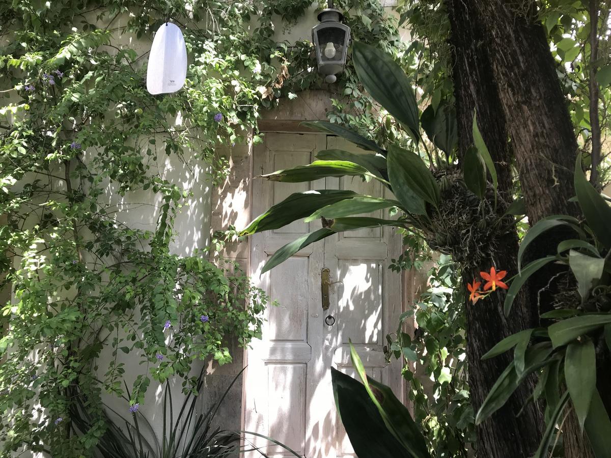 Hotel Fk San Miguel de Allende Exteriér fotografie